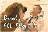 Documentary on Dog Breeding
